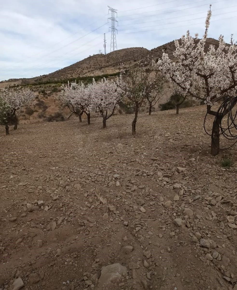 Mark till salu i La Campana - 110 000 € (Ref: 9989269)