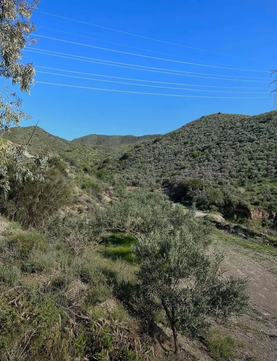 Mark till salu i La Campana - 110 000 € (Ref: 9989269)