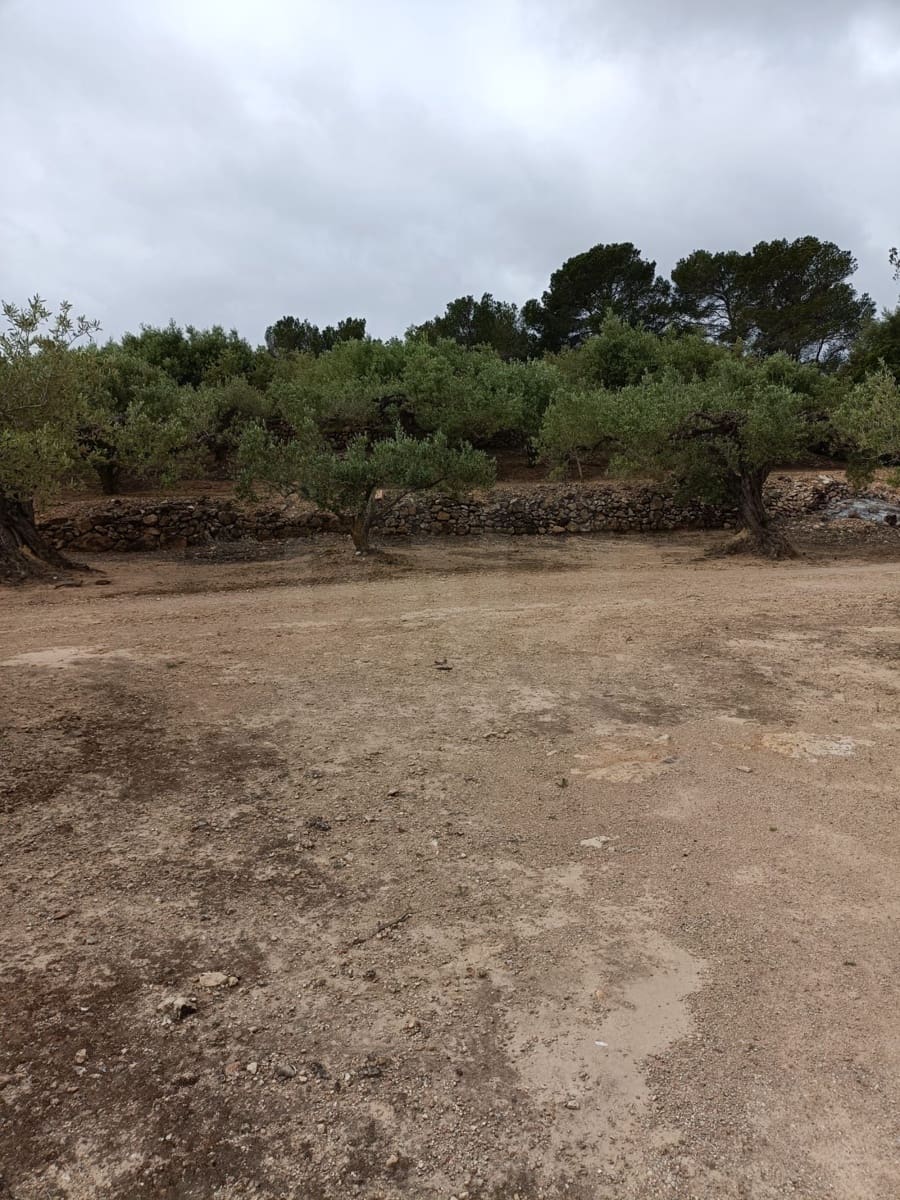 Rakentamaton maa myytävänä paikassa Tarragona kaupunki - 50 000 € (Ref: 9989802)