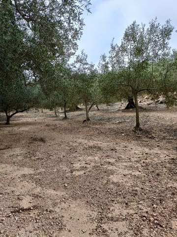 Ubebygd land til salgs i Tarragona by - € 50 000 (Ref: 9989802)