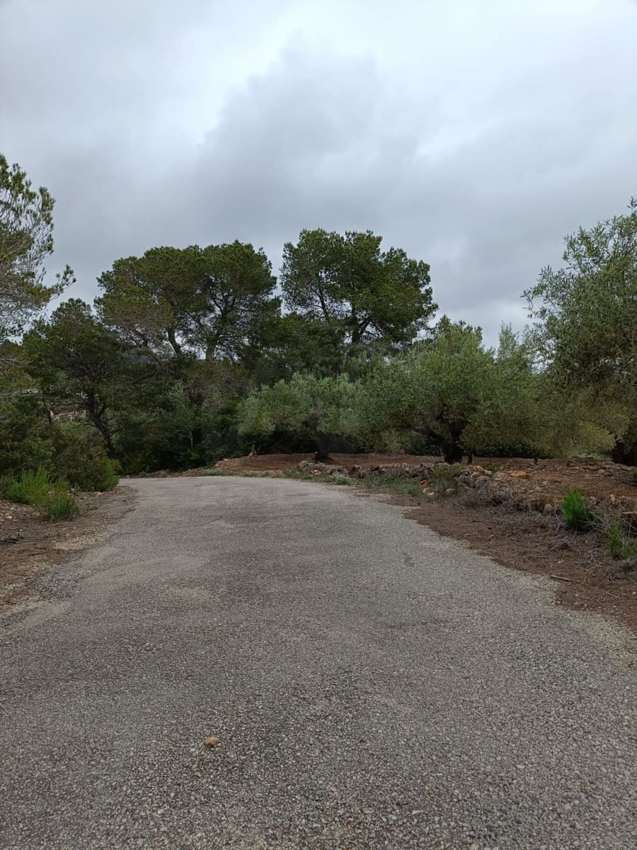 Rakentamaton maa myytävänä paikassa Tarragona kaupunki - 50 000 € (Ref: 9989802)