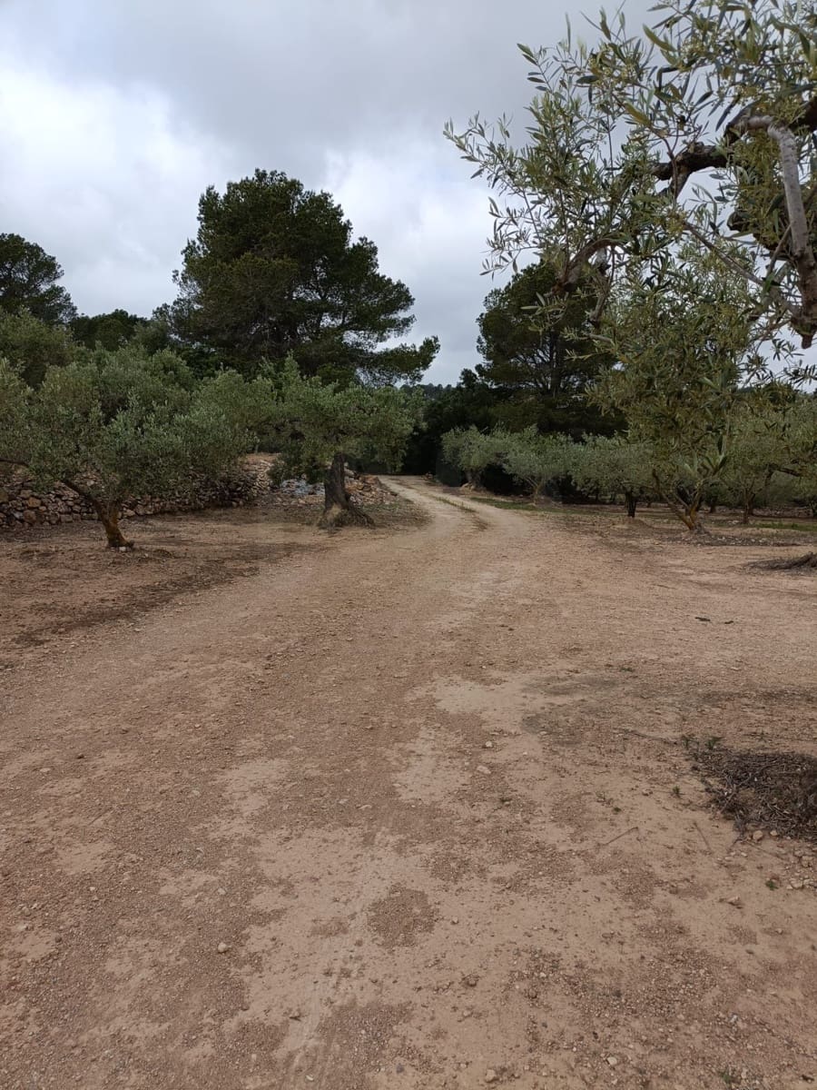 Rakentamaton maa myytävänä paikassa Tarragona kaupunki - 50 000 € (Ref: 9989802)