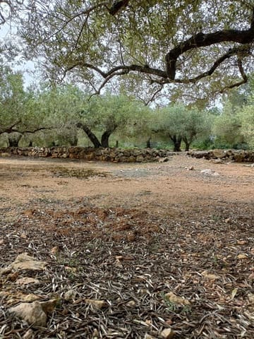 Ubebygd land til salgs i Tarragona by - € 50 000 (Ref: 9989802)