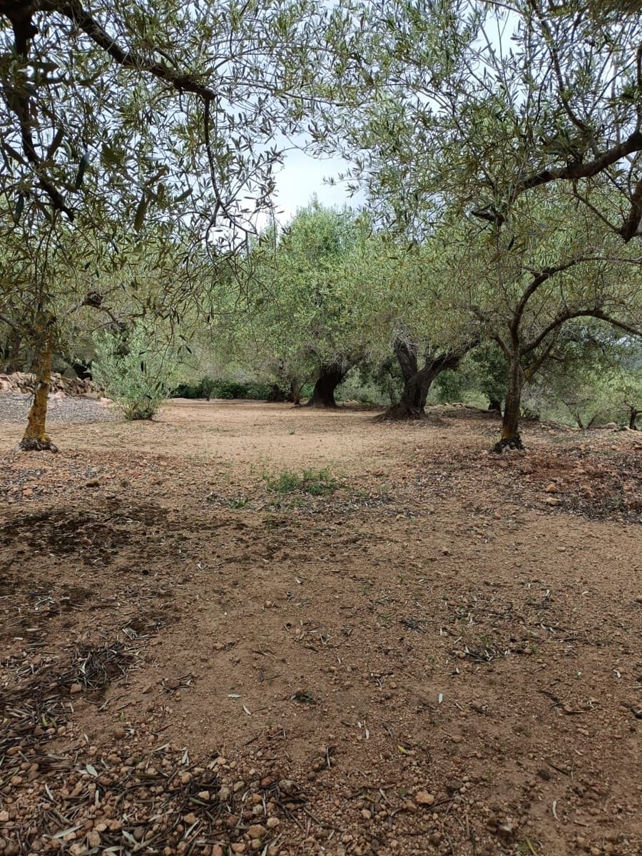 Rakentamaton maa myytävänä paikassa Tarragona kaupunki - 50 000 € (Ref: 9989802)