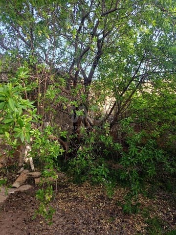 6 Zimmer Haus zu verkaufen in La Paca, Lorca mit Garage - 120.000 € (Ref: 9989806)