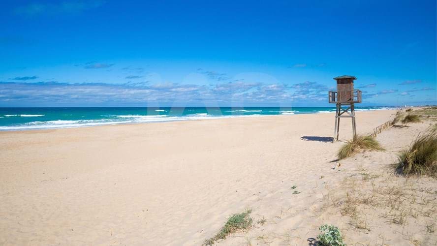 9 soverom Finca/Herregård til salgs i Cadiz by - € 675 000 (Ref: 9989897)