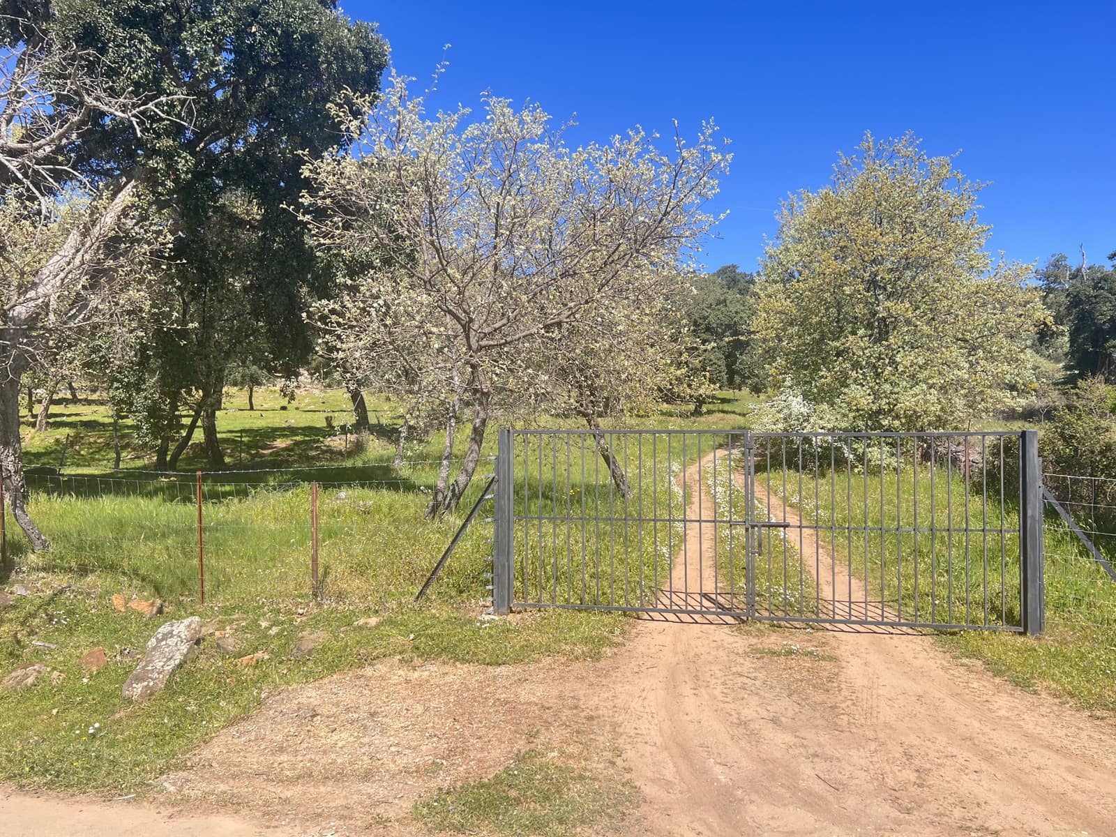 3 chambre Villa/Maison à vendre à Caceres ville avec garage - 430 000 € (Ref: 9990117)