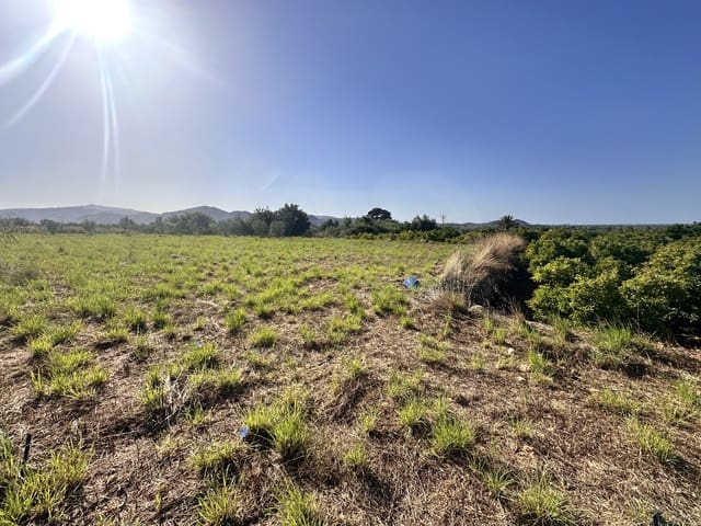 Undeveloped Land for sale in Pego - € 45,000 (Ref: 9990940)