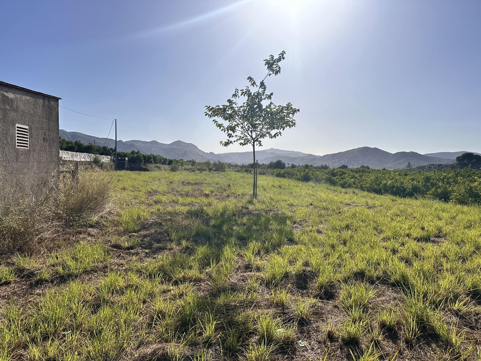 Rakentamaton maa myytävänä paikassa Alicante kaupunki - 45 000 € (Ref: 9990940)