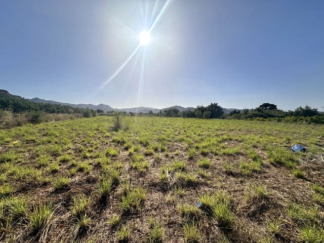 Undeveloped Land for sale in Pego - € 45,000 (Ref: 9990940)