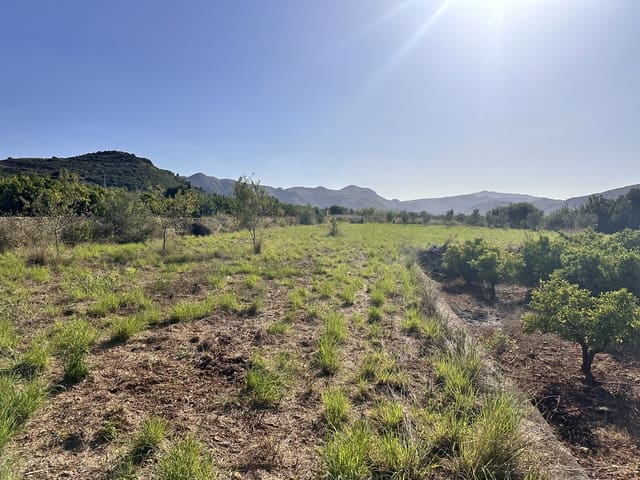 Undeveloped Land for sale in Pego - € 45,000 (Ref: 9990940)