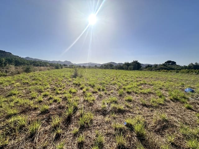 Undeveloped Land for sale in Pego - € 45,000 (Ref: 9990940)
