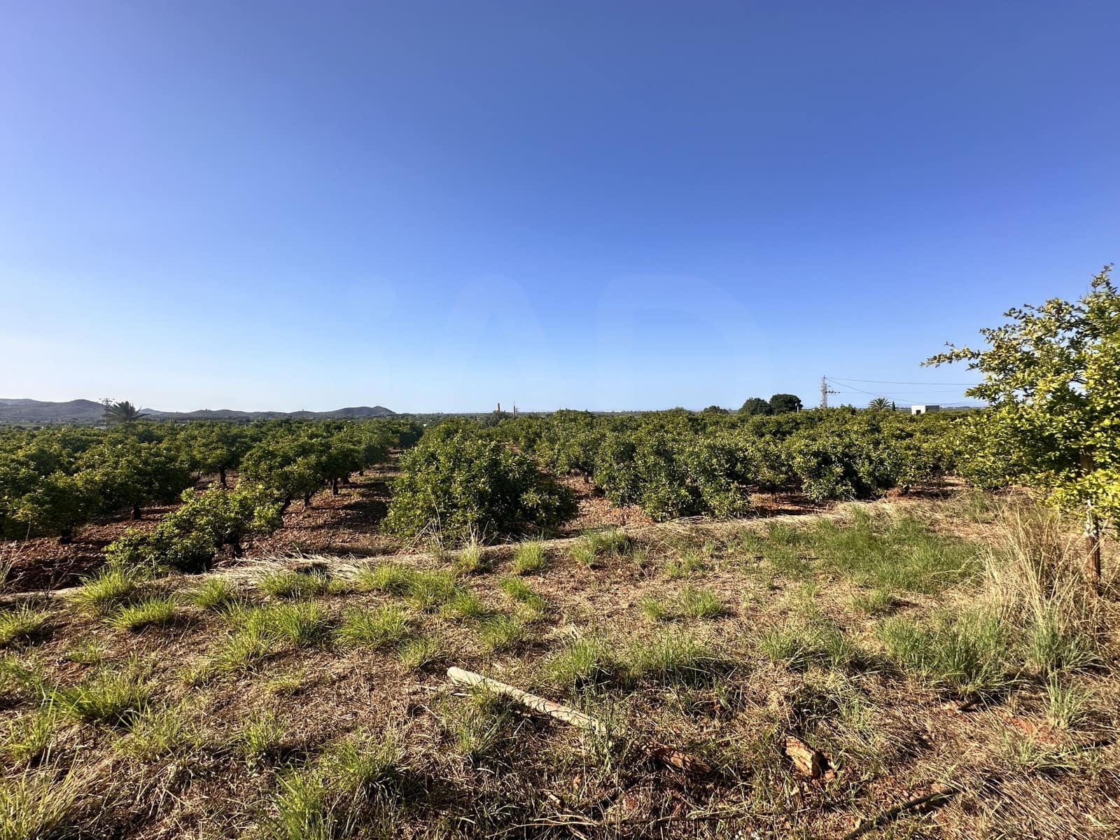 Rakentamaton maa myytävänä paikassa Alicante kaupunki - 45 000 € (Ref: 9990940)