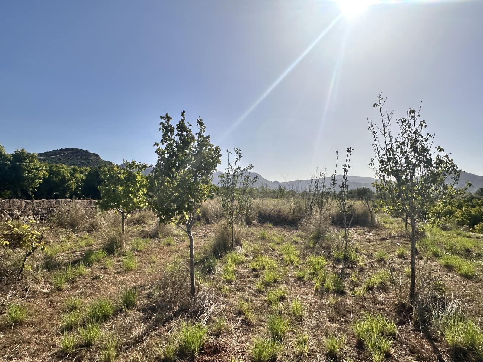 Rakentamaton maa myytävänä paikassa Alicante kaupunki - 45 000 € (Ref: 9990940)