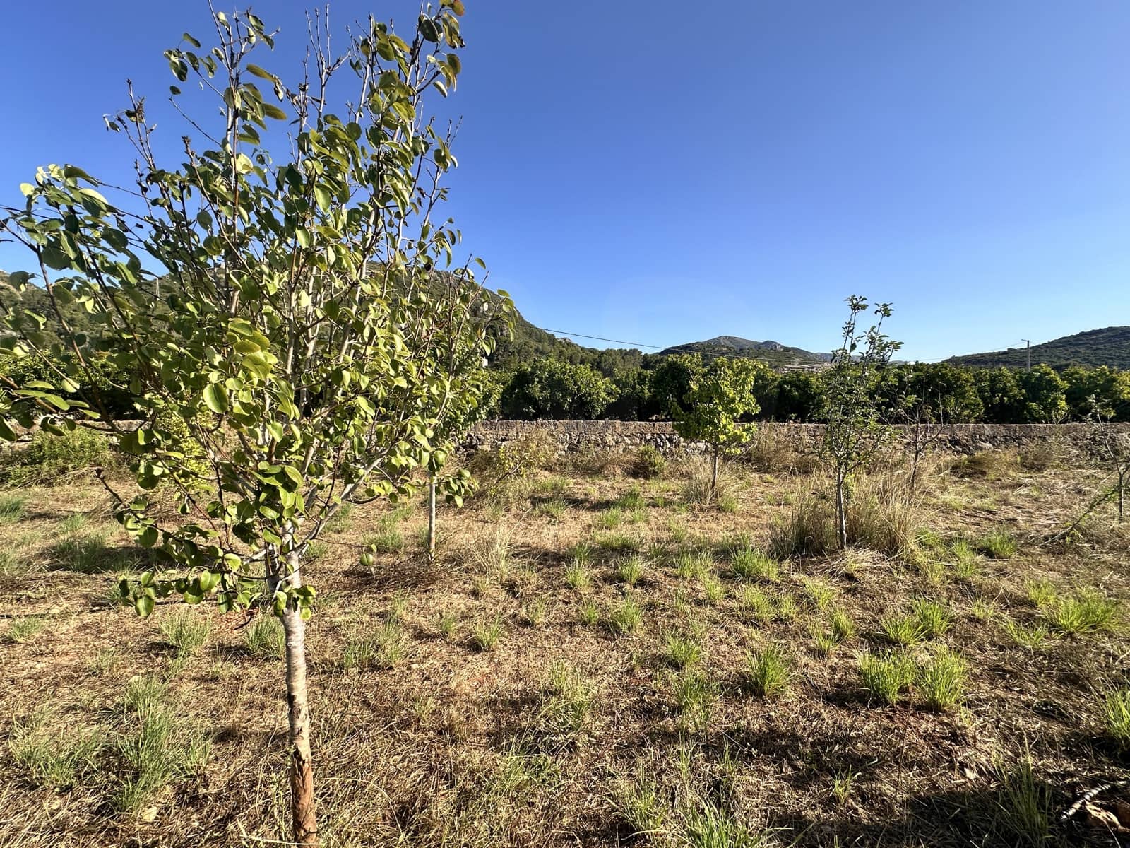 Rakentamaton maa myytävänä paikassa Alicante kaupunki - 45 000 € (Ref: 9990940)