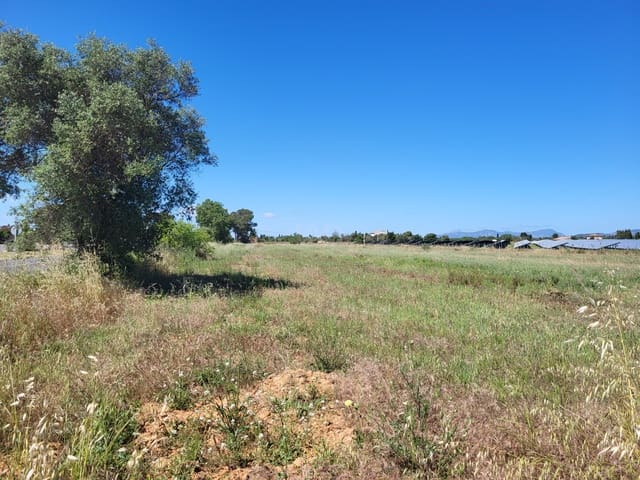 Mark till salu i Santa María del Camí - 330 000 € (Ref: 9990950)