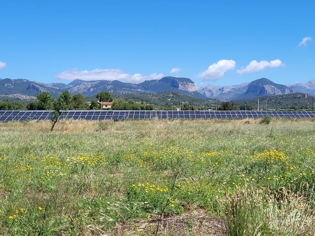 Mark till salu i Santa María del Camí - 330 000 € (Ref: 9990950)
