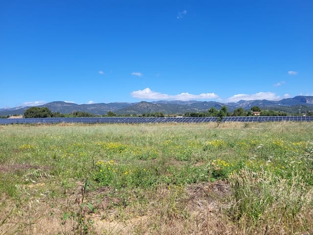 Mark till salu i Santa María del Camí - 330 000 € (Ref: 9990950)