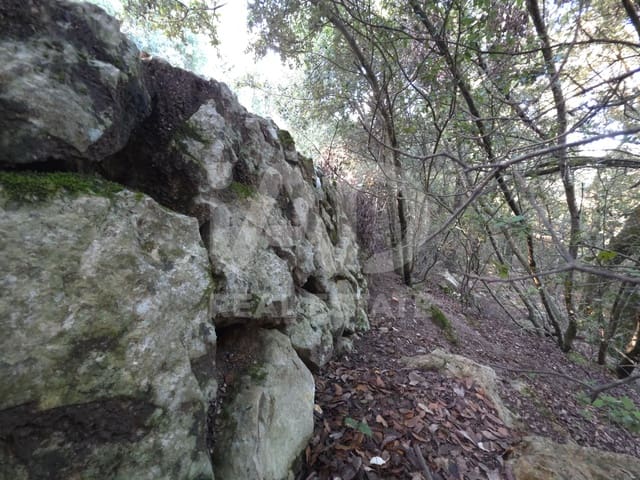 Ubebygd land til salgs i Escorca - € 98 000 (Ref: 9990952)