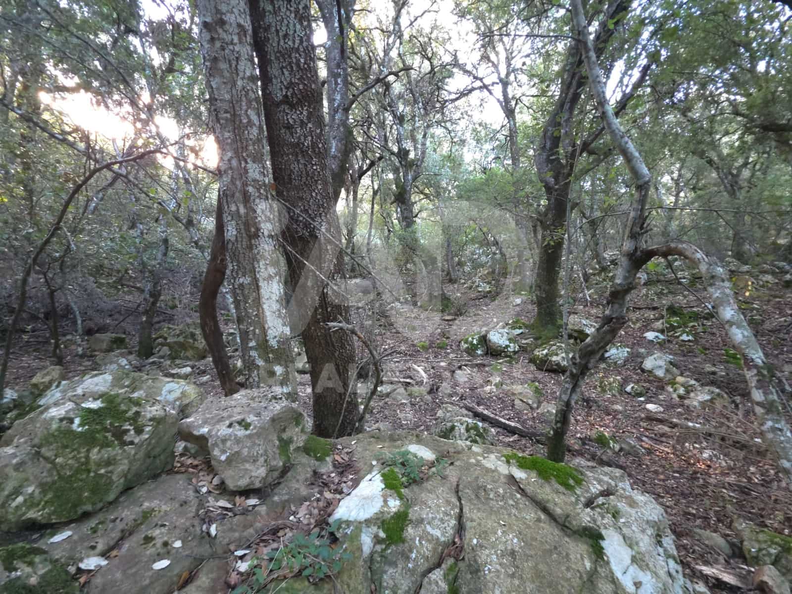 Terreno/Finca Rústica en Escorca en venta - 98.000 € (Ref: 9990952)