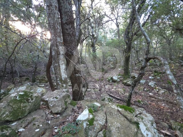 Ubebygd land til salgs i Escorca - € 98 000 (Ref: 9990952)