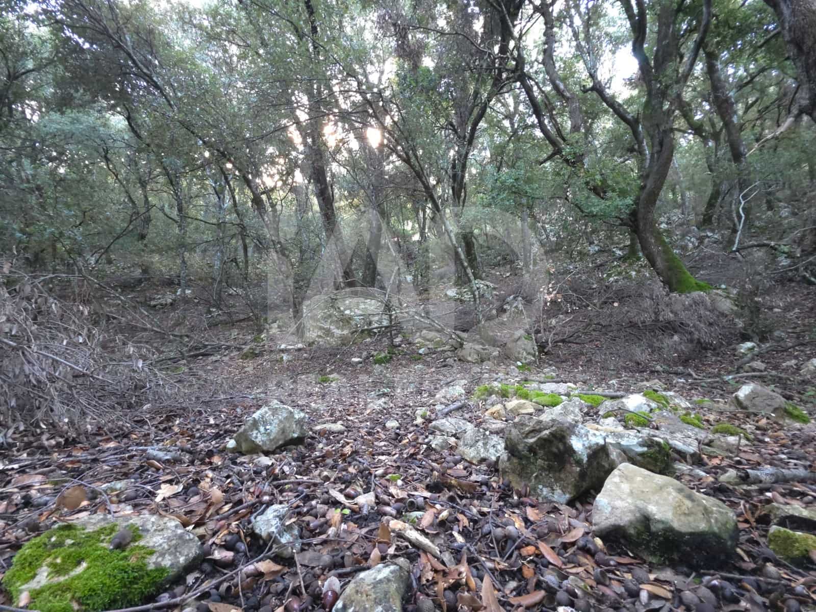 Terreno/Finca Rústica en Escorca en venta - 98.000 € (Ref: 9990952)