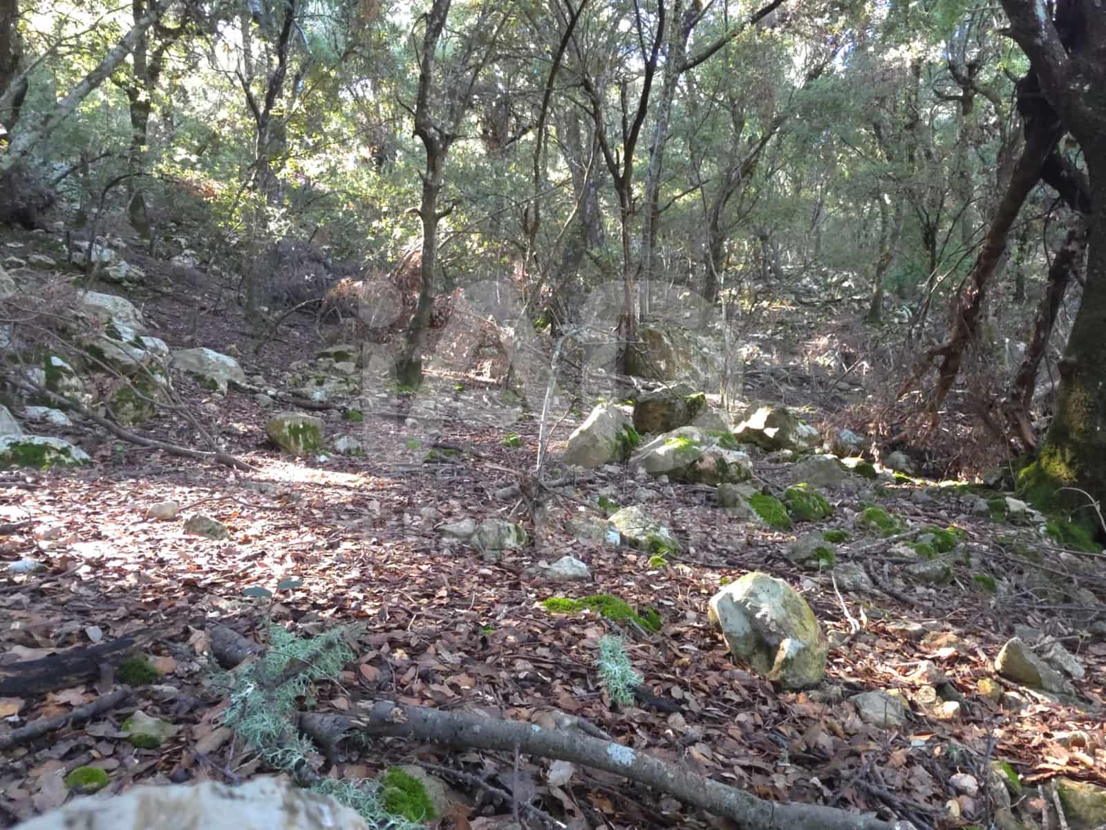 Terreno/Finca Rústica en Escorca en venta - 98.000 € (Ref: 9990952)
