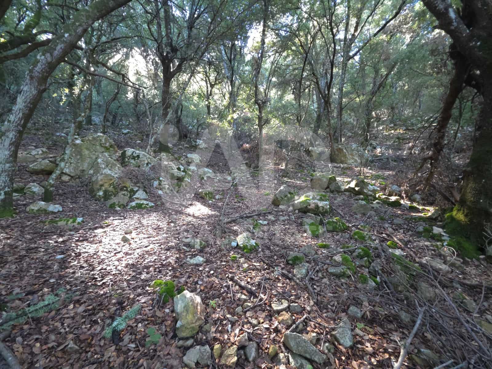 Terreno/Finca Rústica en Escorca en venta - 98.000 € (Ref: 9990952)