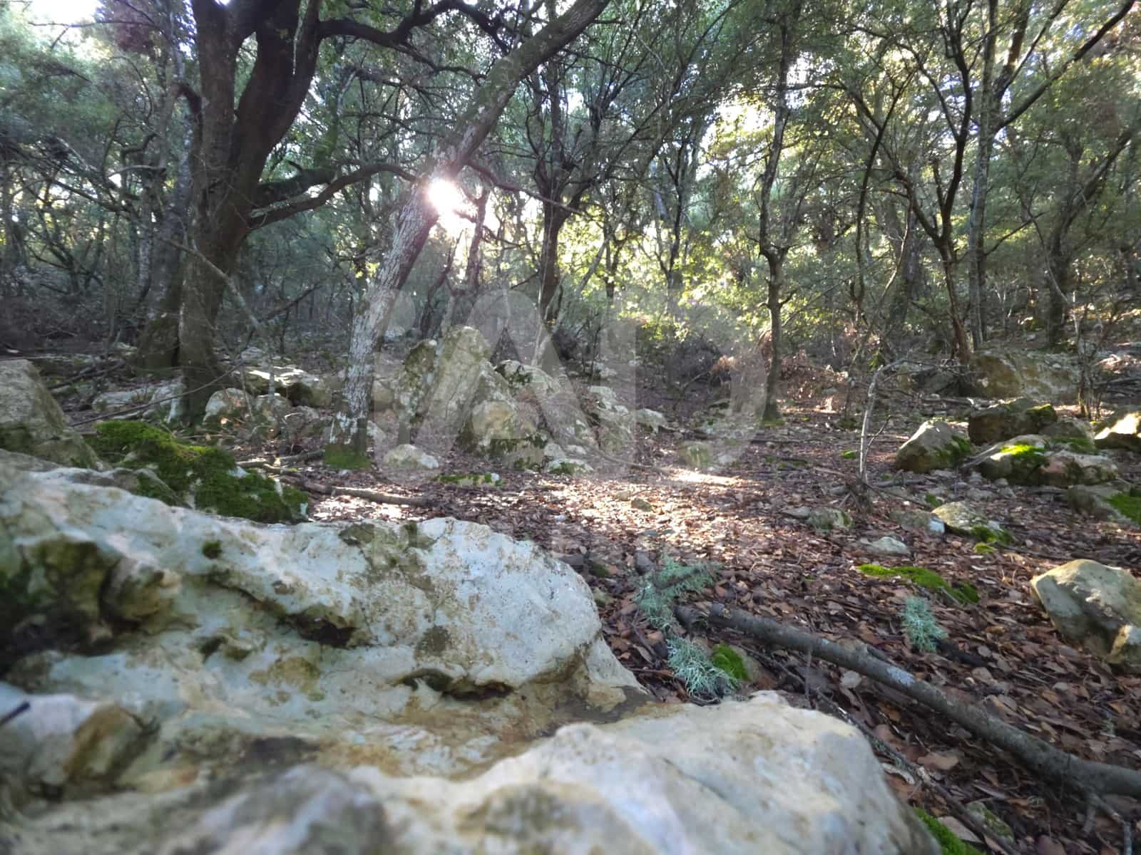 Terreno/Finca Rústica en Escorca en venta - 98.000 € (Ref: 9990952)