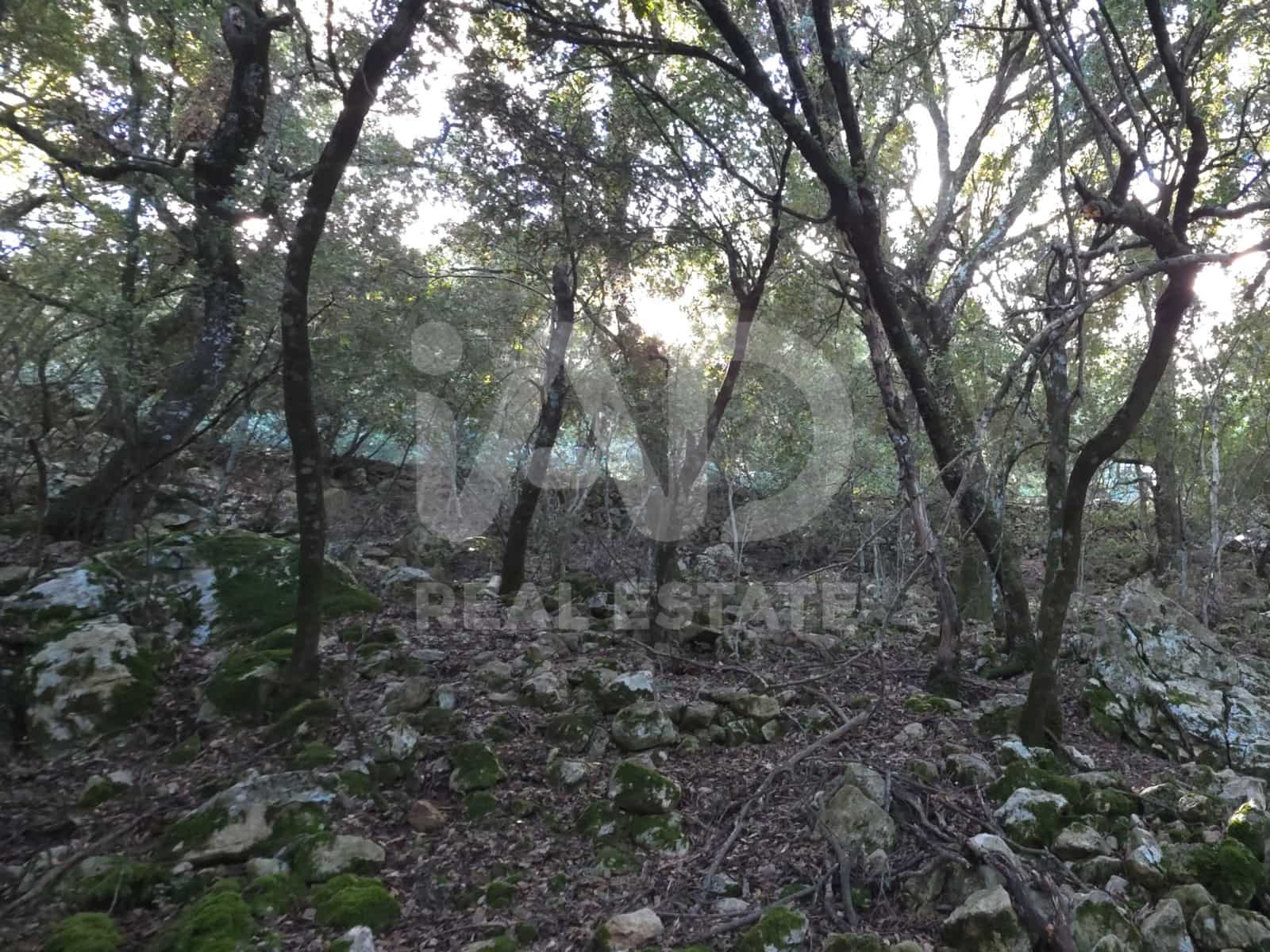 Terreno/Finca Rústica en Escorca en venta - 98.000 € (Ref: 9990952)
