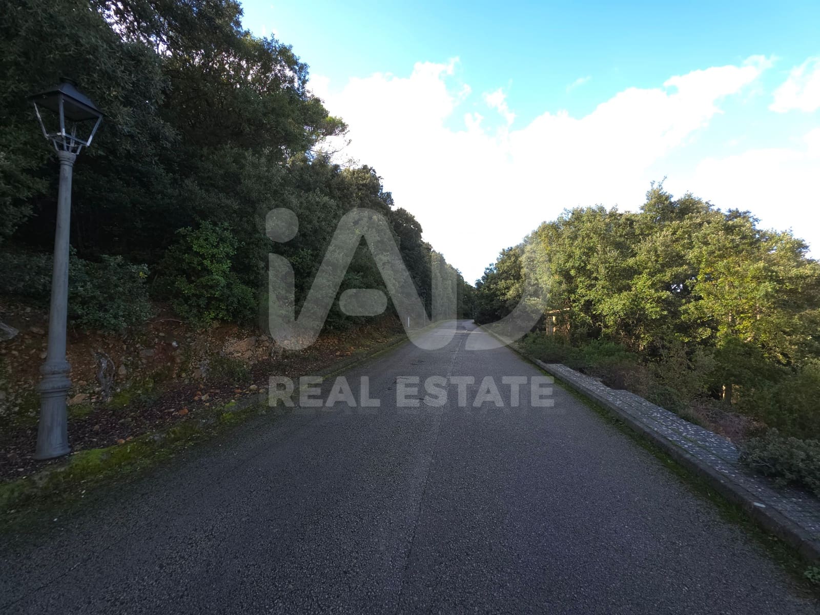 Terreno/Finca Rústica en Escorca en venta - 98.000 € (Ref: 9990952)