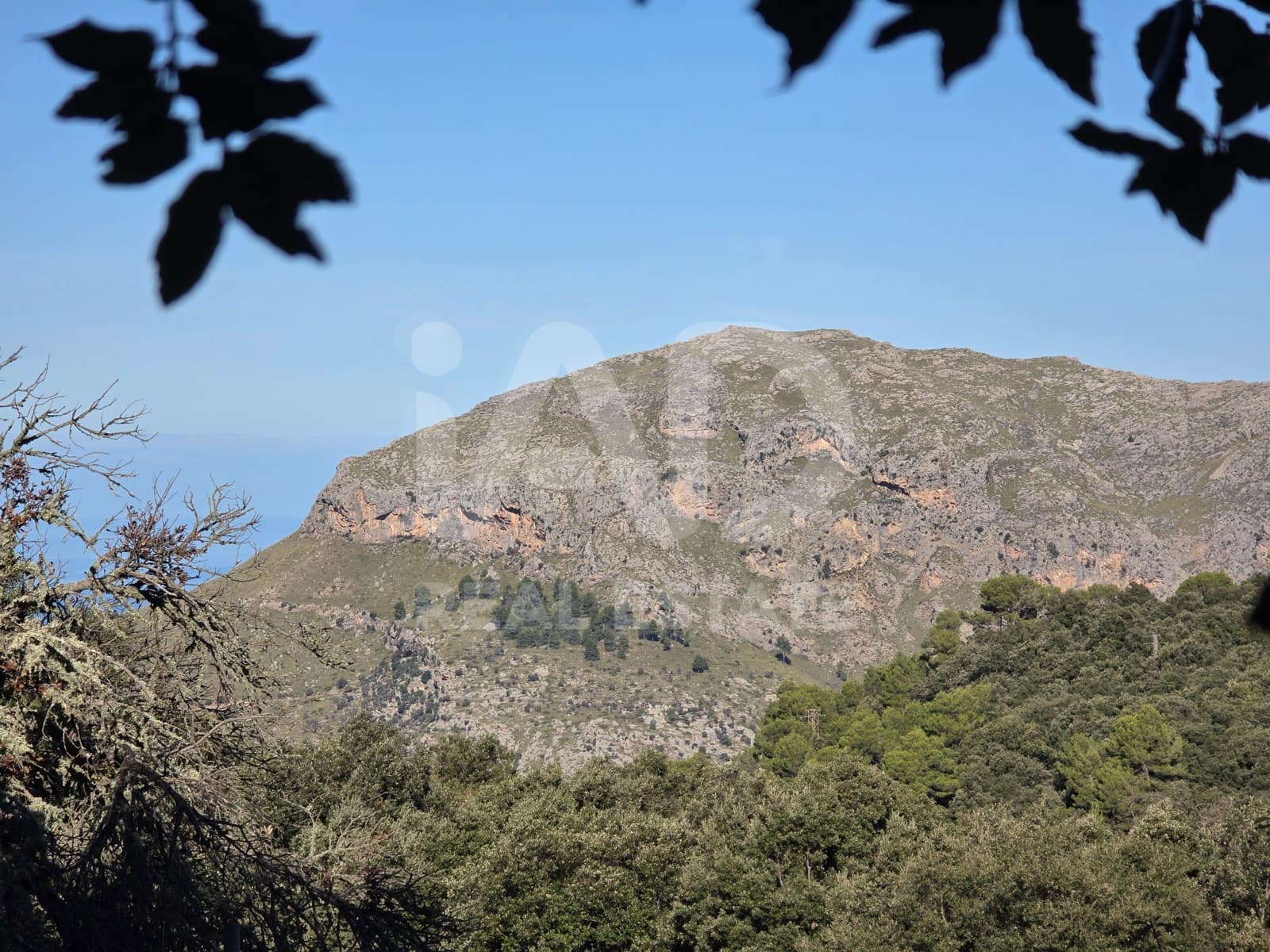 Terreno/Finca Rústica en Escorca en venta - 98.000 € (Ref: 9990952)