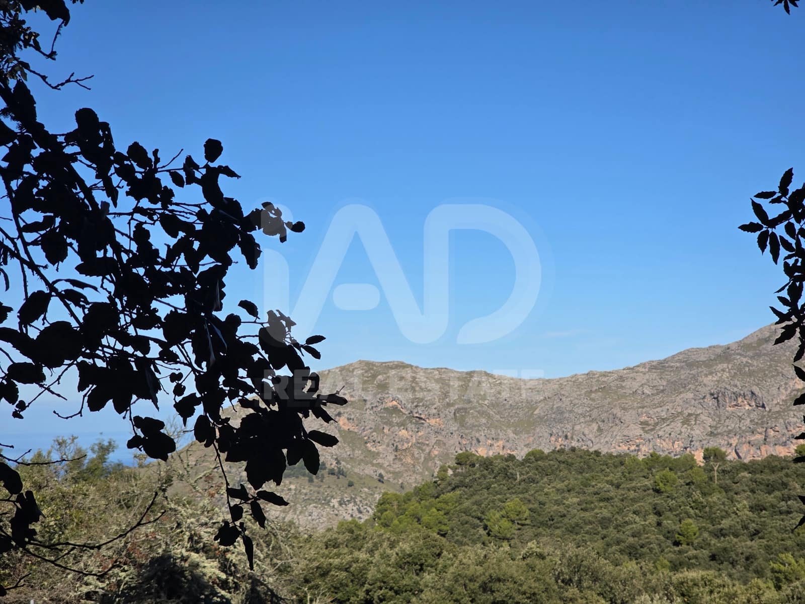 Terreno/Finca Rústica en Escorca en venta - 98.000 € (Ref: 9990952)