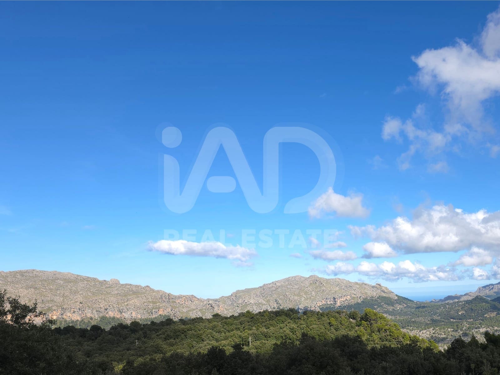 Terreno/Finca Rústica en Escorca en venta - 98.000 € (Ref: 9990952)