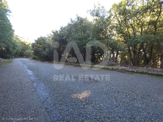 Ubebygd land til salgs i Escorca - € 98 000 (Ref: 9990952)