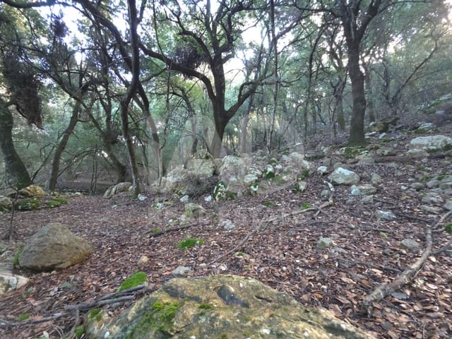 Ubebygd land til salgs i Escorca - € 98 000 (Ref: 9990952)