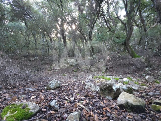 Ubebygd land til salgs i Escorca - € 98 000 (Ref: 9990952)