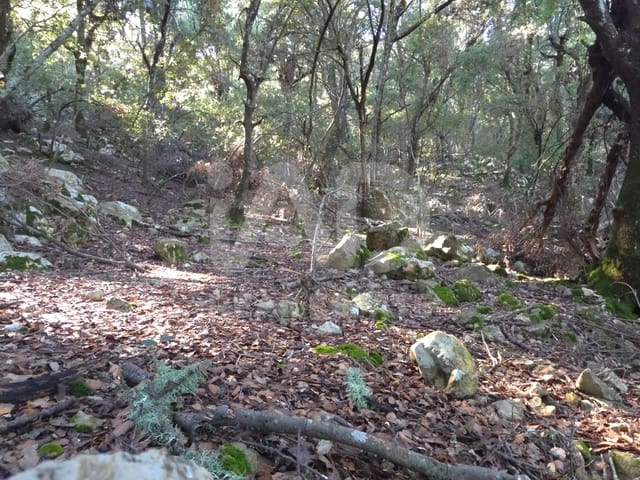 Ubebygd land til salgs i Escorca - € 98 000 (Ref: 9990952)