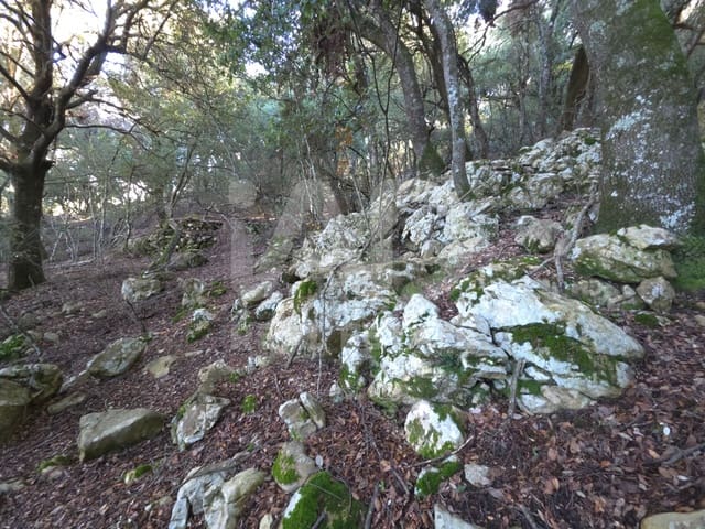 Ubebygd land til salgs i Escorca - € 98 000 (Ref: 9990952)