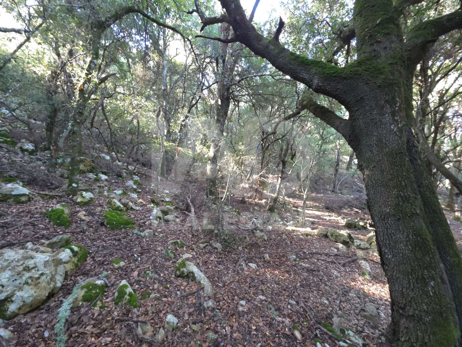 Terreno/Finca Rústica en Escorca en venta - 98.000 € (Ref: 9990952)