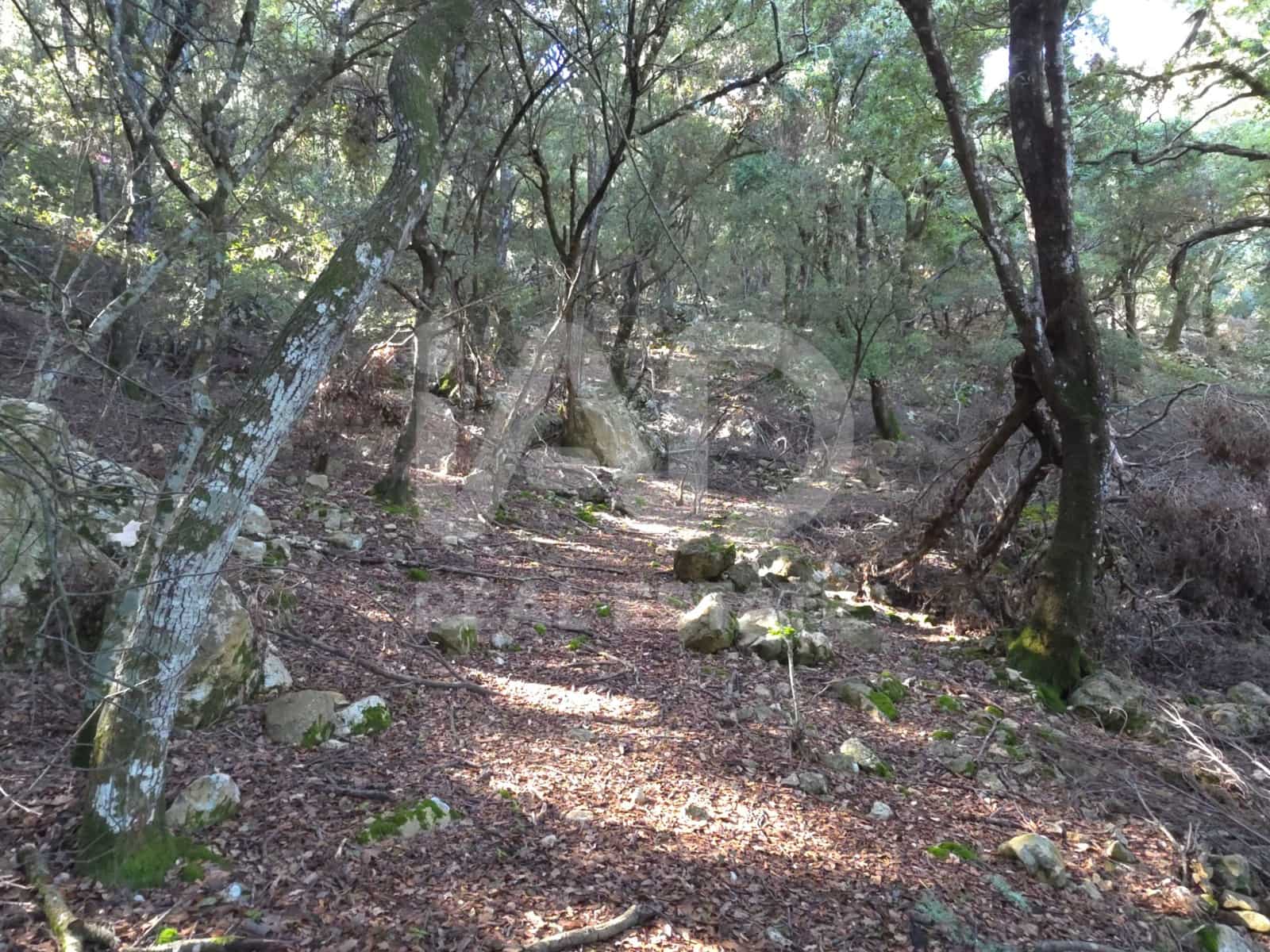 Terreno/Finca Rústica en Escorca en venta - 98.000 € (Ref: 9990952)