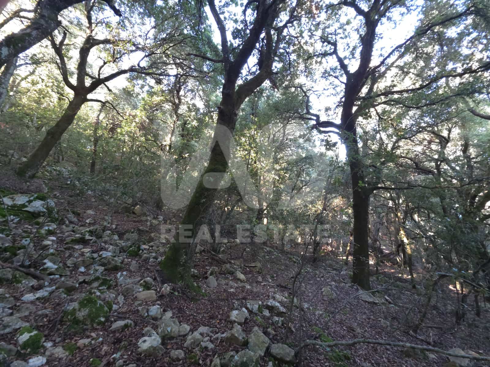 Terreno/Finca Rústica en Escorca en venta - 98.000 € (Ref: 9990952)