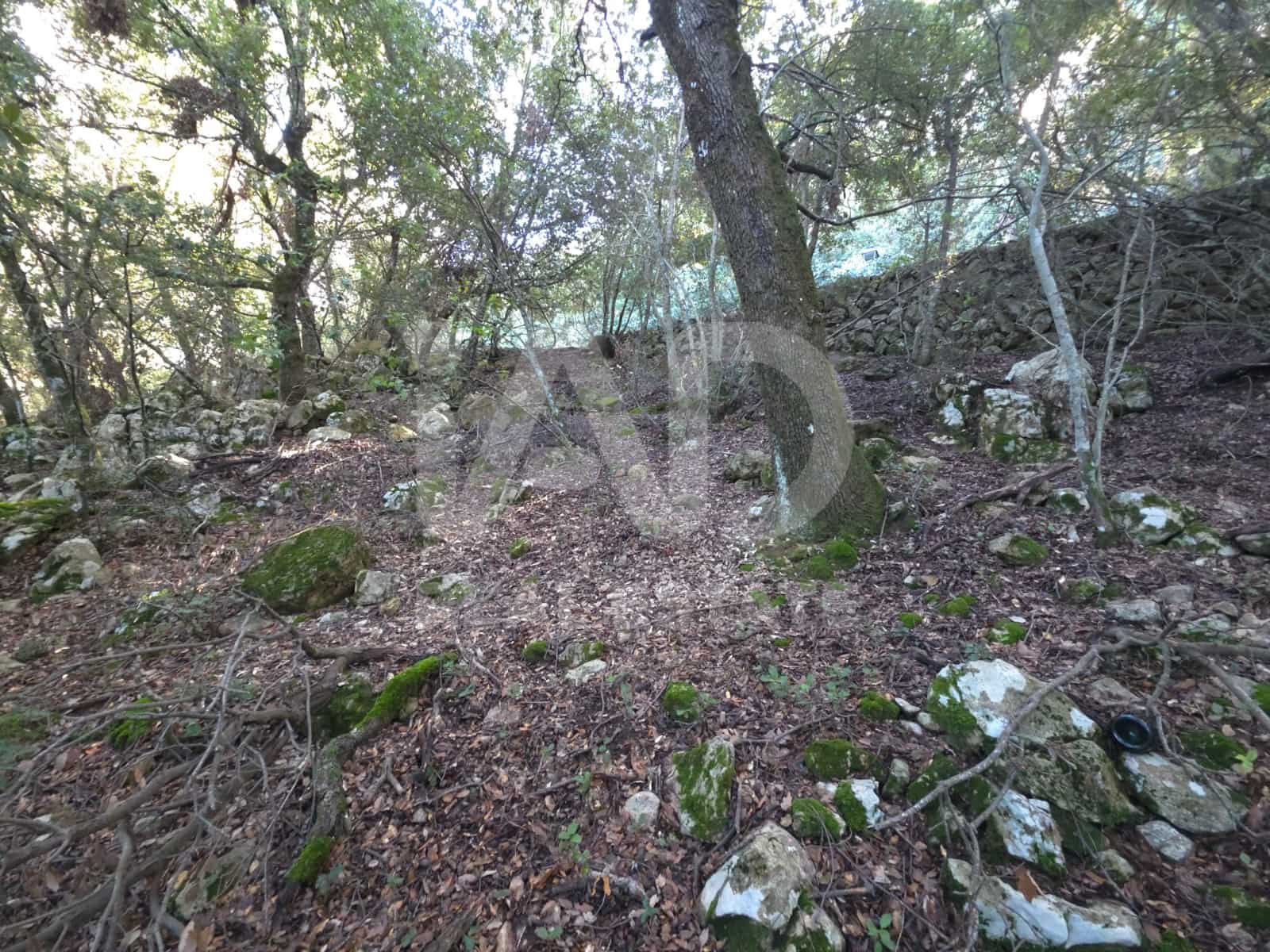 Terreno/Finca Rústica en Escorca en venta - 98.000 € (Ref: 9990952)