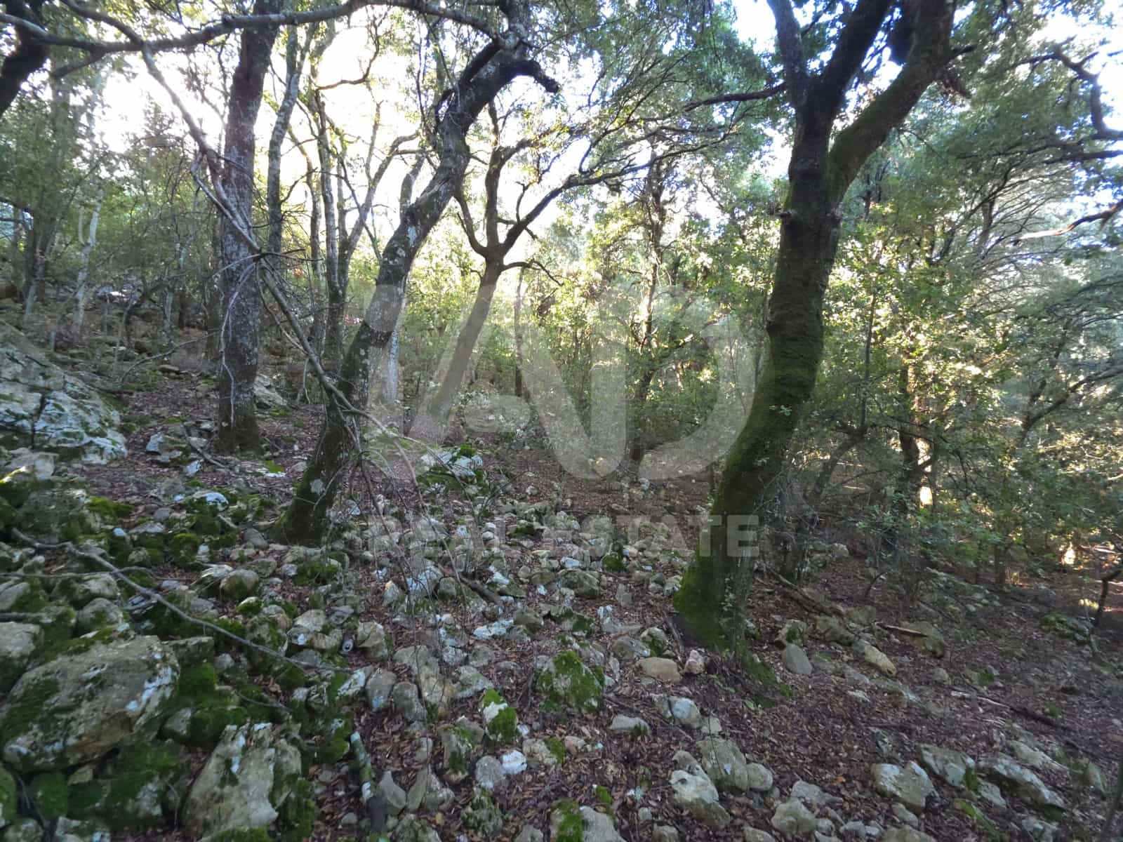 Terreno/Finca Rústica en Escorca en venta - 98.000 € (Ref: 9990952)