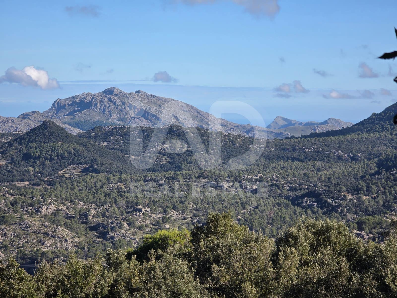 Terreno/Finca Rústica en Escorca en venta - 98.000 € (Ref: 9990952)