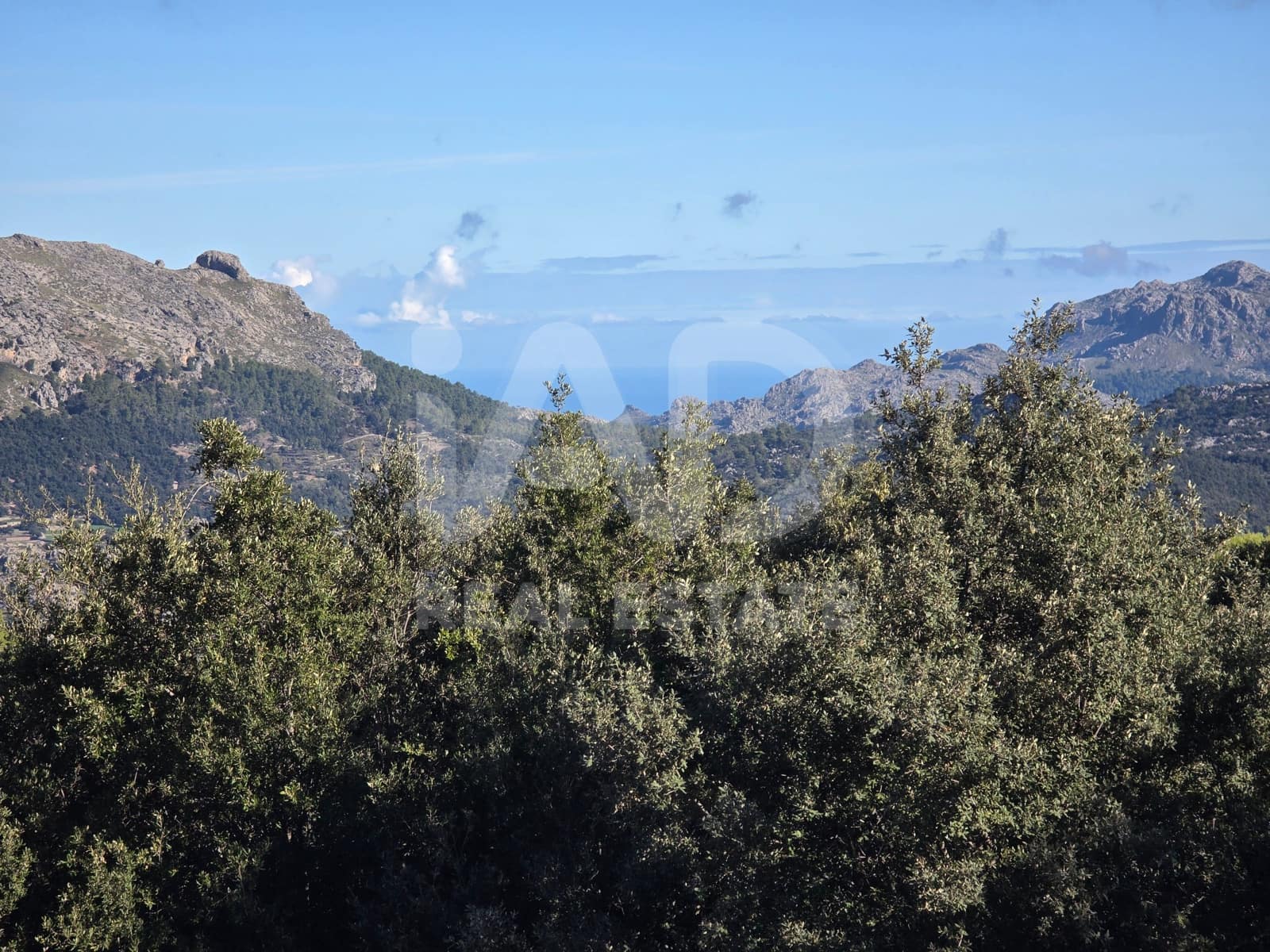 Terreno/Finca Rústica en Escorca en venta - 98.000 € (Ref: 9990952)