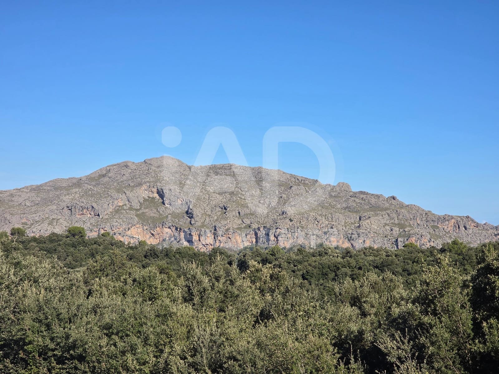 Terreno/Finca Rústica en Escorca en venta - 98.000 € (Ref: 9990952)