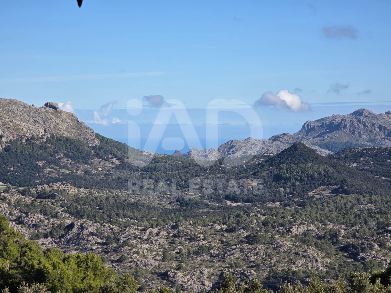 Terreno/Finca Rústica en Escorca en venta - 98.000 € (Ref: 9990952)