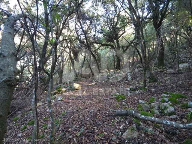 Ubebygd land til salgs i Escorca - € 98 000 (Ref: 9990952)