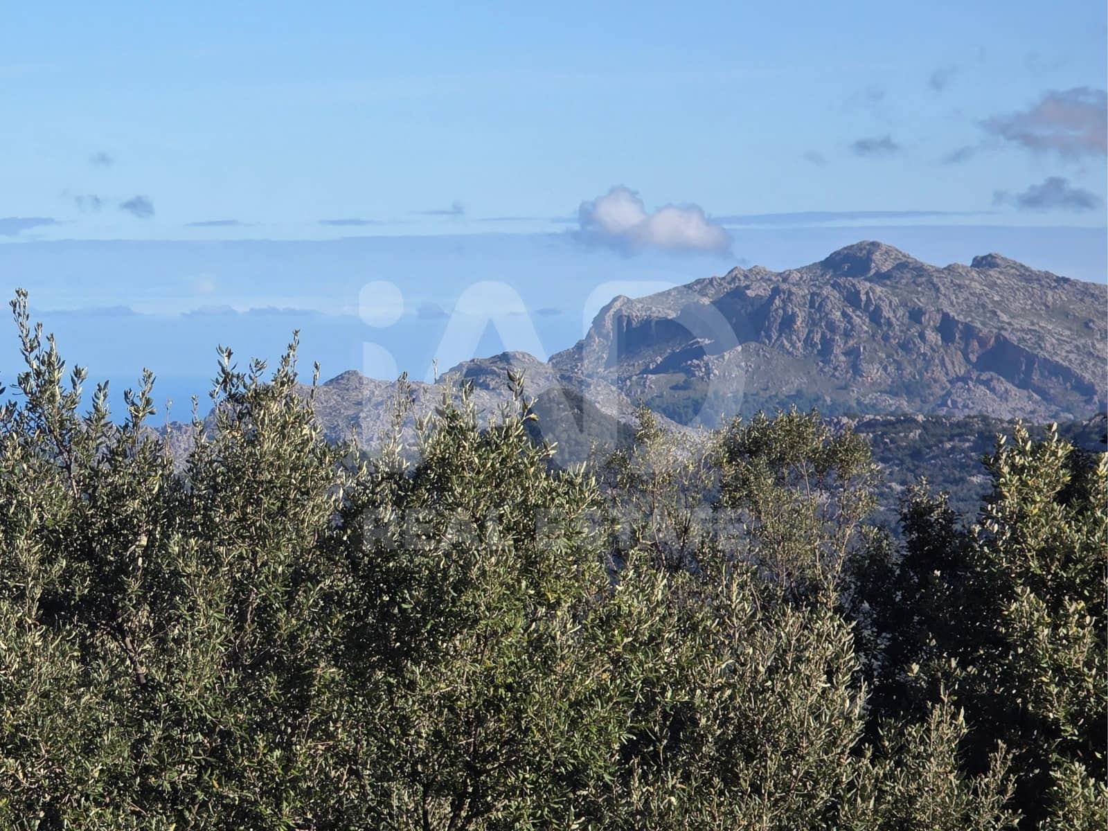 Terreno/Finca Rústica en Escorca en venta - 98.000 € (Ref: 9990952)